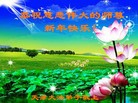 ֹ,󷨵ӹףʦ(25)
