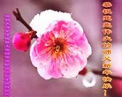 ֹ,ӱ󷨵ӹףʦ(21)
