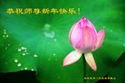法轮功,保定大法弟子恭祝师尊新年好(26条)
