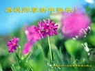 法轮功,保定大法弟子恭祝师尊新年好(26条)
