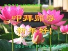 ֹ,żҿڴ󷨵ӹףʦ(23)
