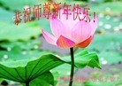 Published on 2/4/2016 ���ֹ�,��½�󷨵��ӹ�ףʦ���������(38��)
