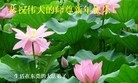 ֹ,㶫󷨵ӹףʦ(23)
