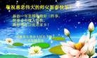 ֹ,󷨵ӹףʦ(22)
