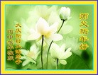 法轮功,大庆大法弟子恭祝师尊新年快乐(25条)
