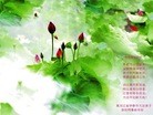 ֹ,󷨵ӹףʦ(28)
