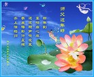 ֹ,Ϋ󷨵ӹףʦ(25)
