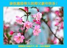 ֹ,㶫󷨵ӹףʦ(23)
