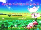 ֹ,󷨵ӹףʦ(22)
