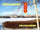 ֹ,󷨵ӹףʦ(22)

