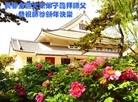 ֹ,󷨵ӹףʦ(22)
