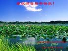ֹ,󷨵ӹףʦ(23)
