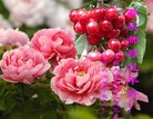 ֹ,󷨵ӹףʦ(23)
