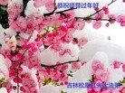 ֹ,ʡ󷨵ӹףʦ(22)
