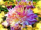 ֹ,ʡ󷨵ӹףʦ(22)
