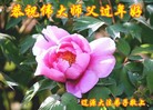 ֹ,ʡ󷨵ӹףʦ(22)
