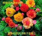 ֹ,ʡ󷨵ӹףʦ(22)
