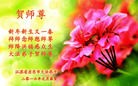 ֹ,մ󷨵ӹףʦ(19)
