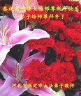 ֹ,󷨵ӹףʦ(22)
