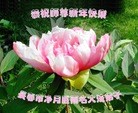 ֹ,󷨵ӹףʦ(22)
