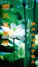 法轮功,锦州大法弟子恭祝师尊新年好(24条)
