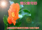 ֹ,Ϋ󷨵ӹףʦ(25)
