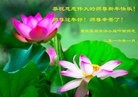 法轮功,重庆大法弟子恭祝师尊新年快乐(26条)
