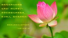 ֹ,󷨵ӹףʦ(26)
