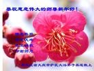 ֹ,󷨵ӹףʦ(25)
