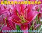 ֹ,󷨵ӹףʦ(18)
