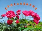 ֹ,󷨵ӹףʦ(22)
