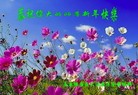 ֹ,󷨵ӹףʦ(22)
