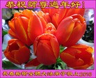 ֹ,󷨵ӹףʦ(22)
