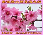 ֹ,󷨵ӹףʦ(22)
