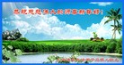 ֹ,Ϻ󷨵ӹףʦ(24)
