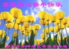 法轮功,重庆大法弟子恭祝师尊新年快乐(26条)
