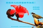 ֹ,󷨵ӹףʦ(33)
