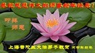 ֹ,Ϻ󷨵ӹףʦ(24)

