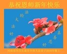 法轮功,河南大法弟子恭祝师尊新年快乐(22条)
