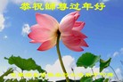 ֹ,մ󷨵ӹףʦ(33)
