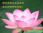 ֹ,㶫󷨵ӹףʦ(23)
