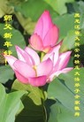 ֹ,󷨵ӹףʦ(20)
