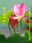 ֹ,󷨵ӹףʦ(20)
