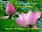 ֹ,󷨵ӹףʦ(20)
