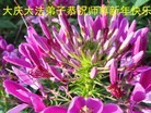 ֹ,󷨵ӹףʦ(25)
