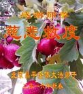 ֹ,󷨵ӹףʦ(28)
