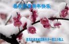 ֹ,󷨵ӹףʦ(24)
