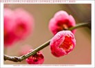ֹ,󷨵ӹףʦ(25)
