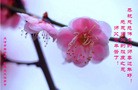ֹ,󷨵ӹףʦ(25)
