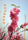 法轮功,石家庄大法弟子恭祝师尊新年快乐(28条)
